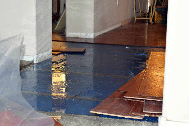 Professional Sewage Cleanup technician working in Clarksville, IA